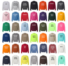 Load image into Gallery viewer, Custom embroidered pet sweatshirt